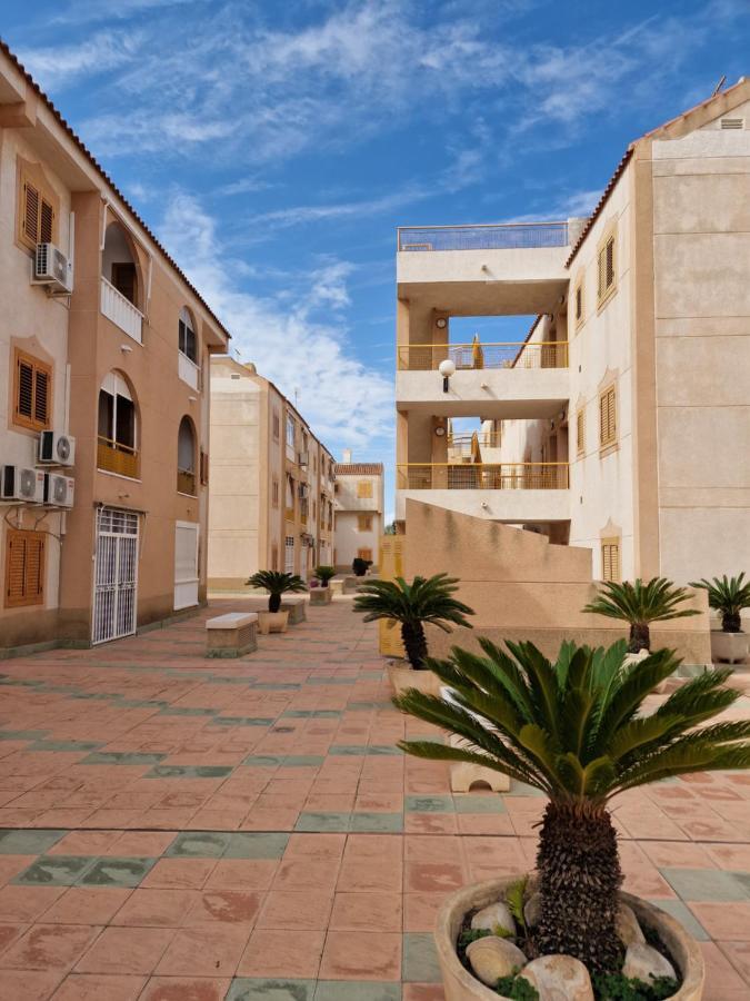 "Vero Vijola" In تورّيفيِخا المظهر الخارجي الصورة